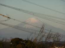 初日出